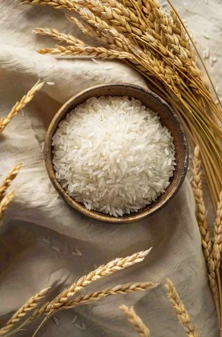 世界粮食日谷物米饭稻谷小麦摄影图