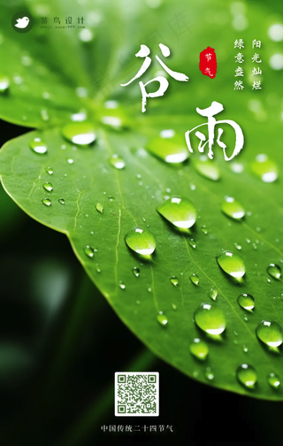 谷雨手机海报