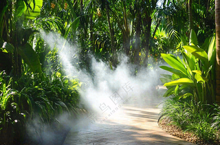 热带植物园绿植摄影图