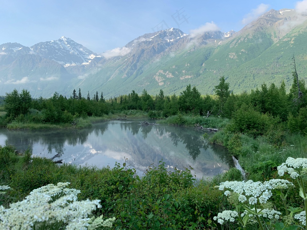 绿野繁花映雪山·宁静蓝调赏景图