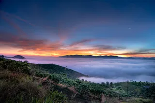 晨曦映山红：自然色彩与宁静氛围的交响曲