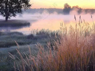 清晨河边雾气朝霞芦苇草地摄影图