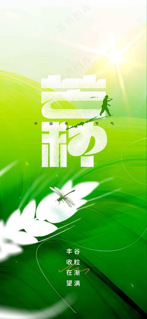 绿色清新芒种节气传统海报