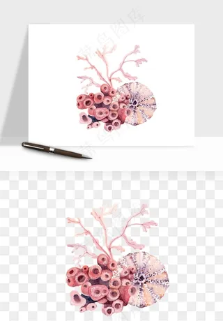 卡通珊瑚海底植物png免抠