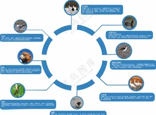 公园文化墙海洋动物园文化墙