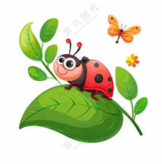 昆虫七星瓢虫绿叶卡通插画免抠