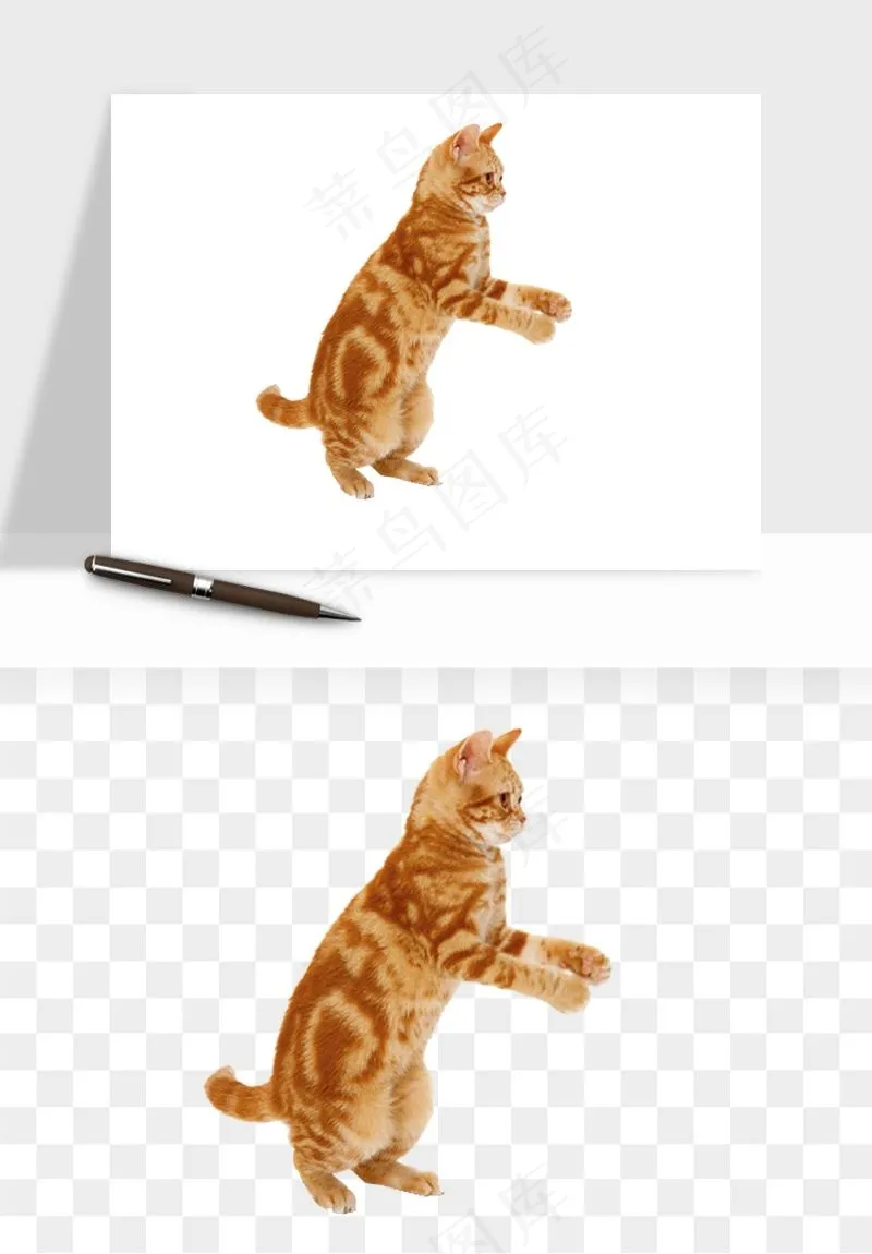 猫咪喵星人狗狗宠物元素png免抠
