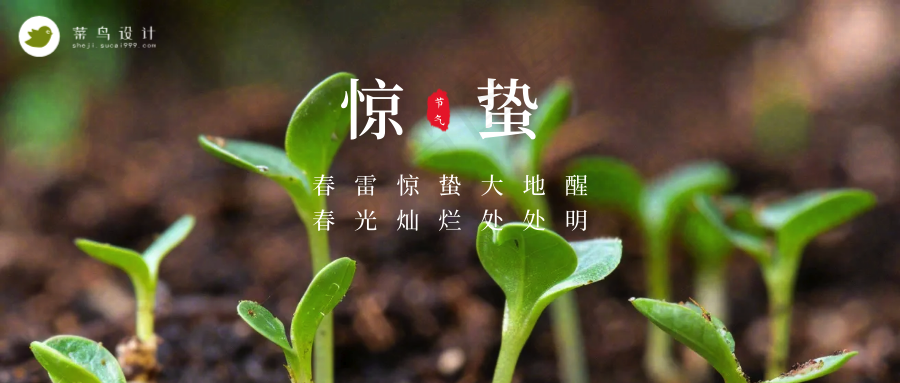 惊蛰公众号首图