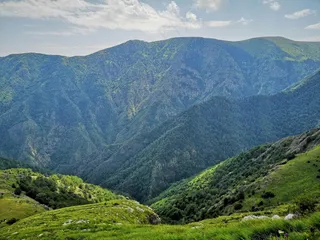 翠绿山谷中的宁静风光