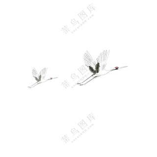 在一起展翅高飞的仙鹤免抠图片素材
