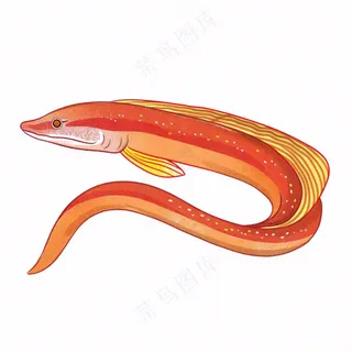 海洋鱼类海鲜卡通插画免抠