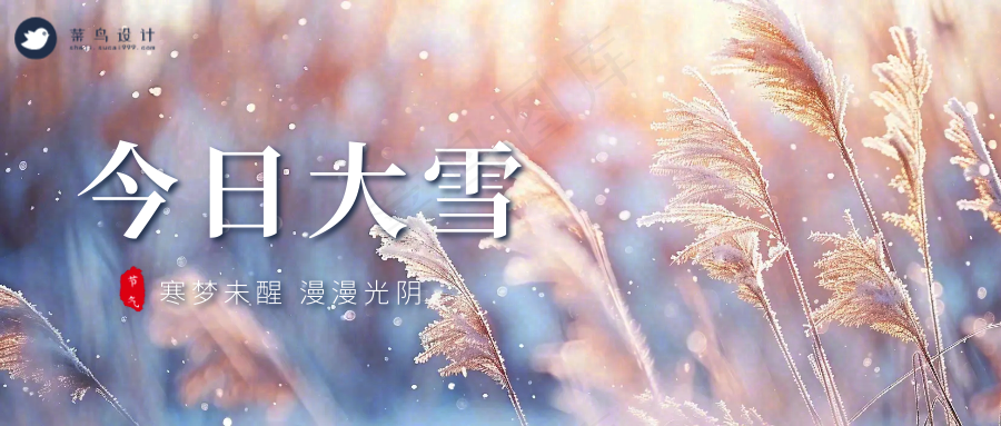 大雪公众号首图