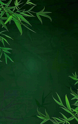 端午佳节竹子插画中国风绿色清雅静背景