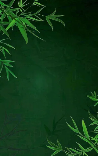 端午佳节竹子插画中国风绿色清雅静背景