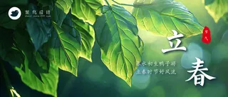 立春公众号首图