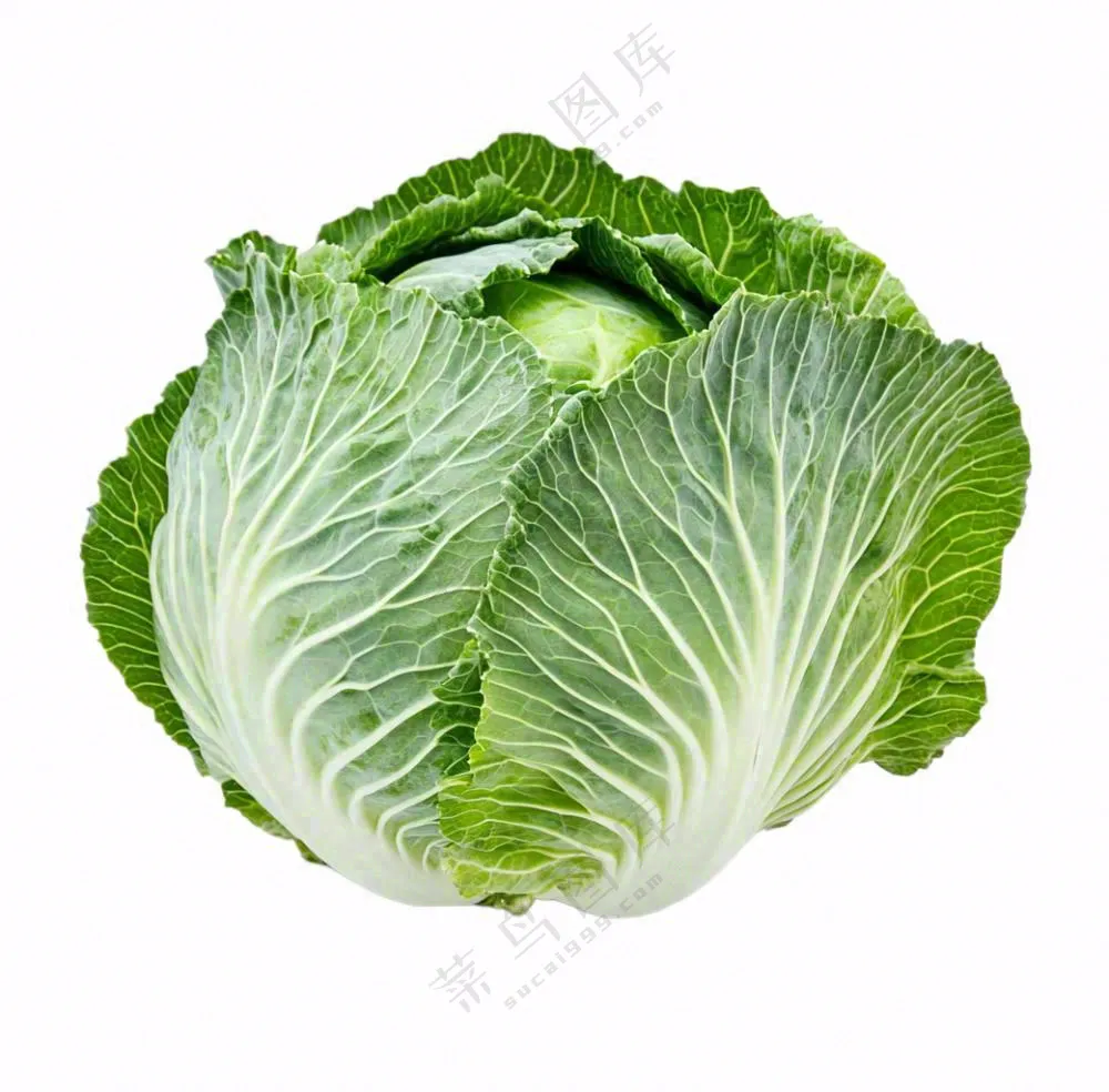 青菜蔬菜包菜免抠