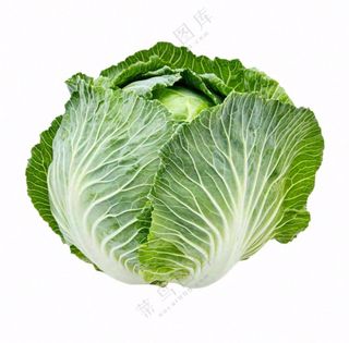 青菜蔬菜包菜免抠