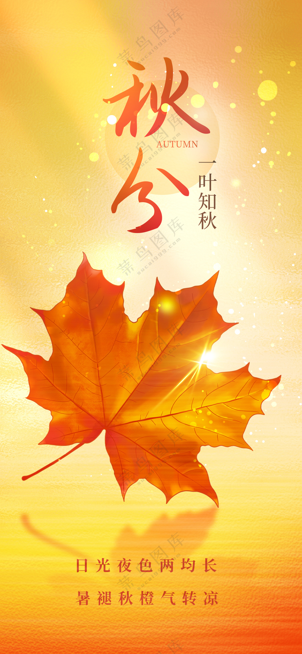 橙色简约秋分海报