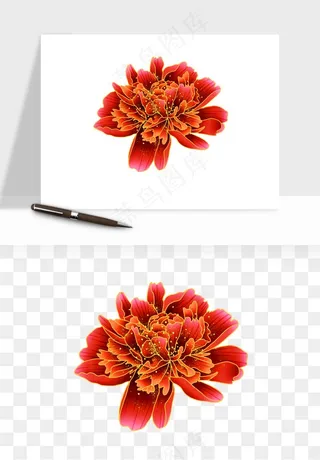 手绘国潮牡丹花花卉图案png免抠