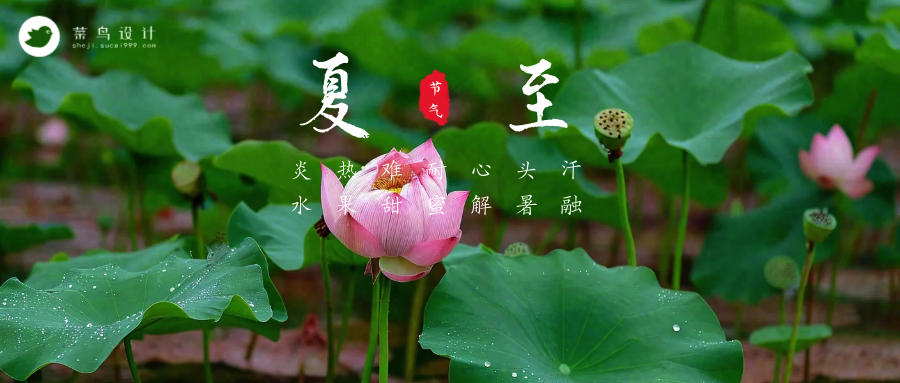 夏至公众号首图