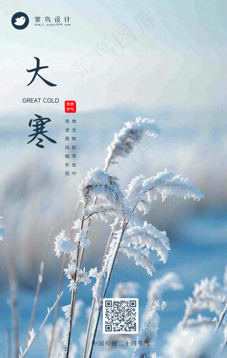 大寒手机海报
