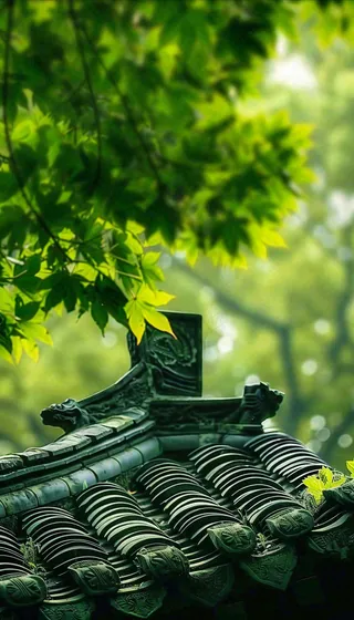 夏天大树绿荫屋檐小清新唯美大暑处暑摄影图