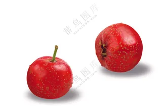山楂果 免抠图