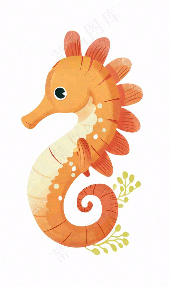 海马海洋动物卡通插画免抠