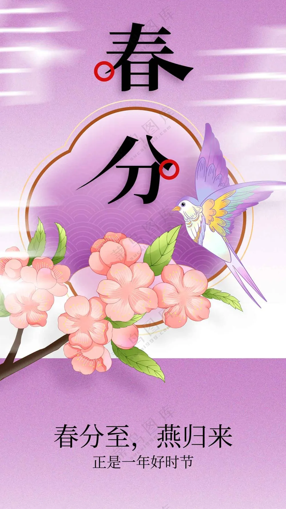 春分节气传统活动宣传海报