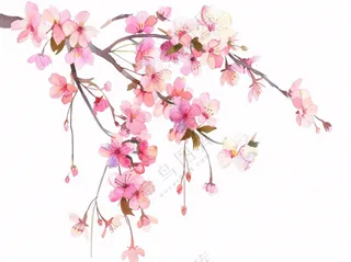 粉色桃花插画免抠