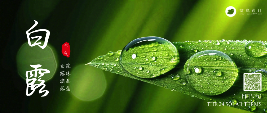 白露公众号首图