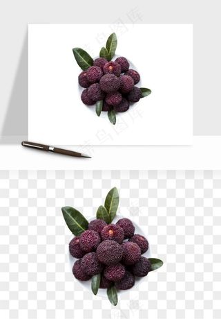 杨梅采摘水果png免抠