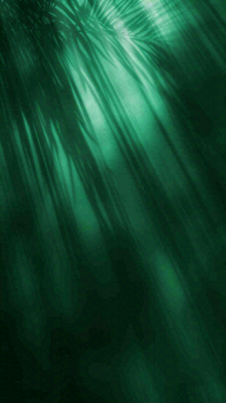 美妆护肤3d展台清新背景