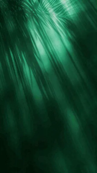 美妆护肤3d展台清新背景