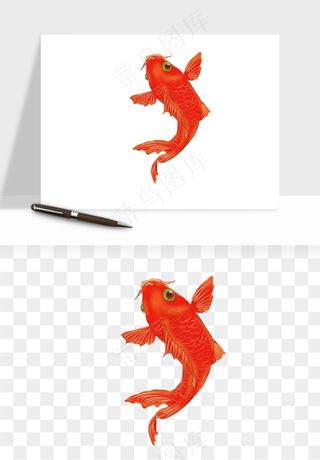 锦鲤鱼手绘水墨png免抠