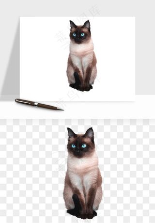 猫咪喵星人狗狗宠物元素png免抠