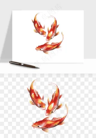 锦鲤鱼手绘水墨png免抠