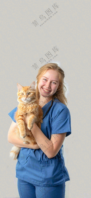 萌宠宠物医院医生抱着猫咪摄影图背景
