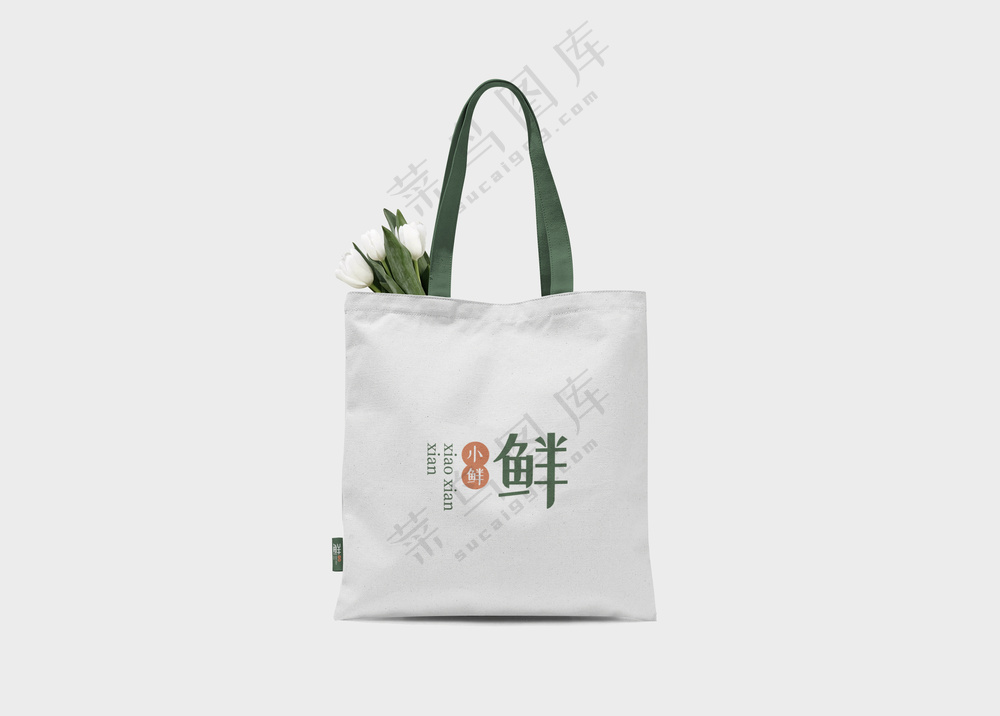 文创帆布袋购物袋手提袋样机-25