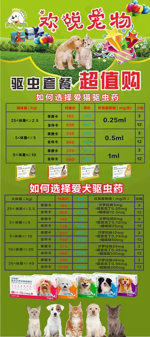 宠物   展架 海报