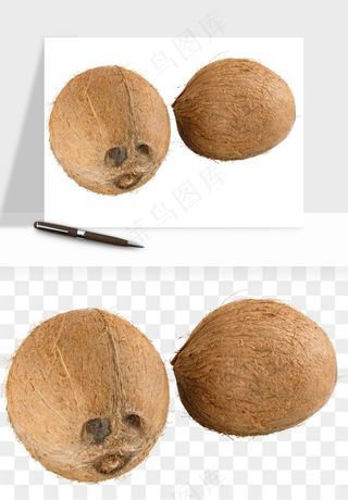 椰子椰果水果png免抠