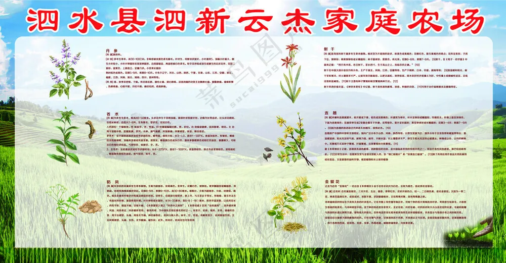 中药材种植农业科普宣传栏合作社展板模板海报