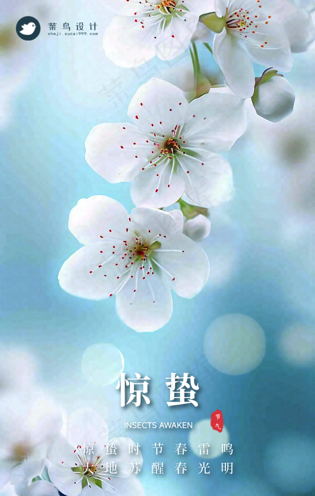 惊蛰手机海报
