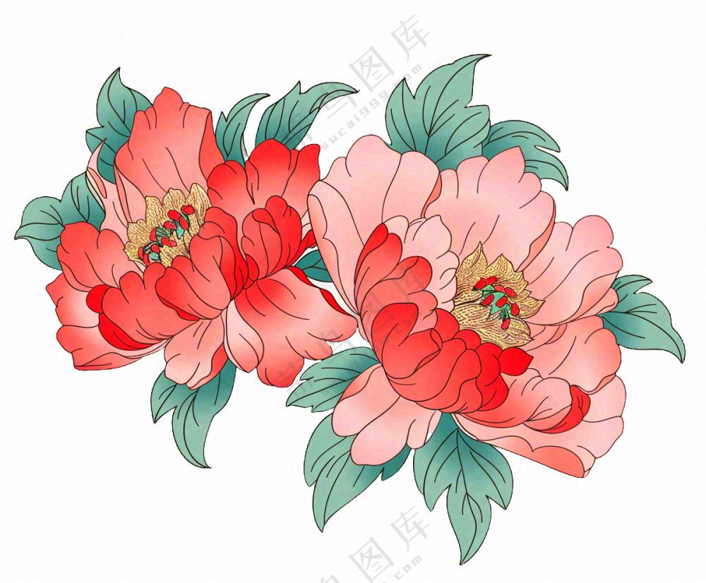 国花牡丹鲜艳花朵植物插画免抠