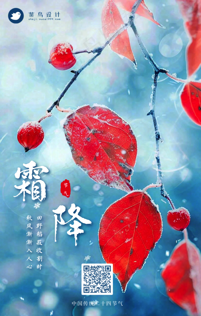 霜降手机海报