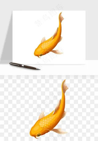 锦鲤鱼手绘水墨png免抠