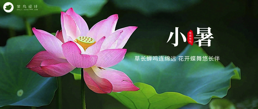 小暑公众号首图