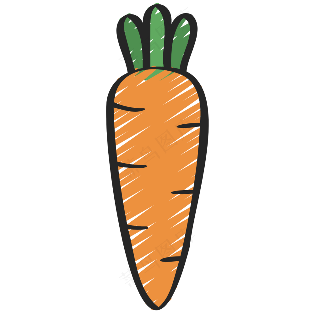 胡萝卜 carrots 绿色健康食品 铅笔手绘图标icon