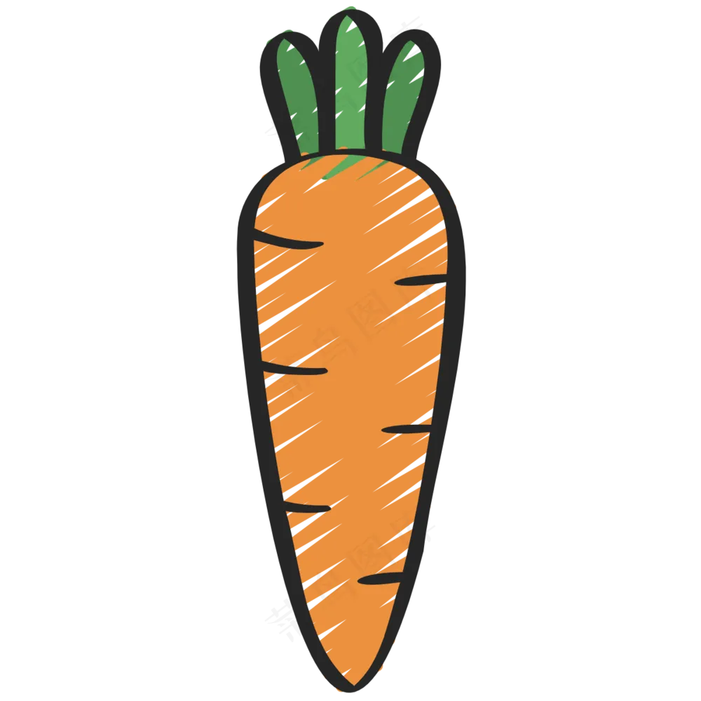 胡萝卜 carrots 绿色健康食品 铅笔手绘图标icon