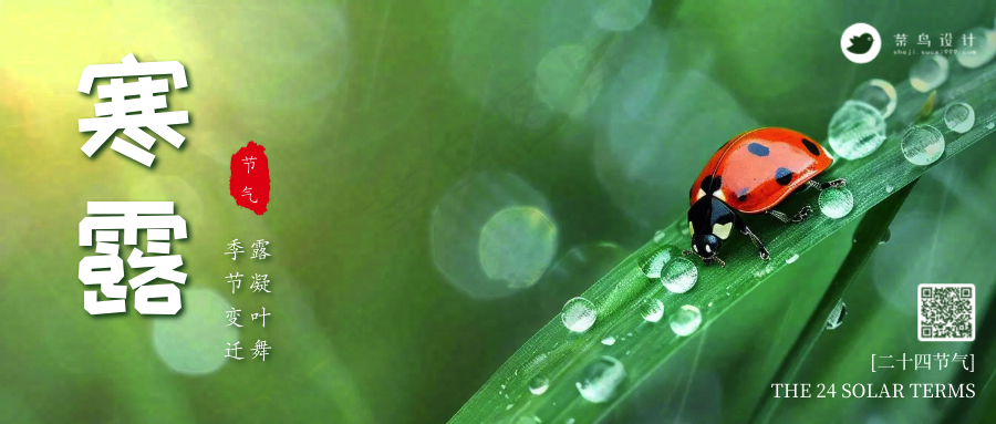 寒露公众号首图